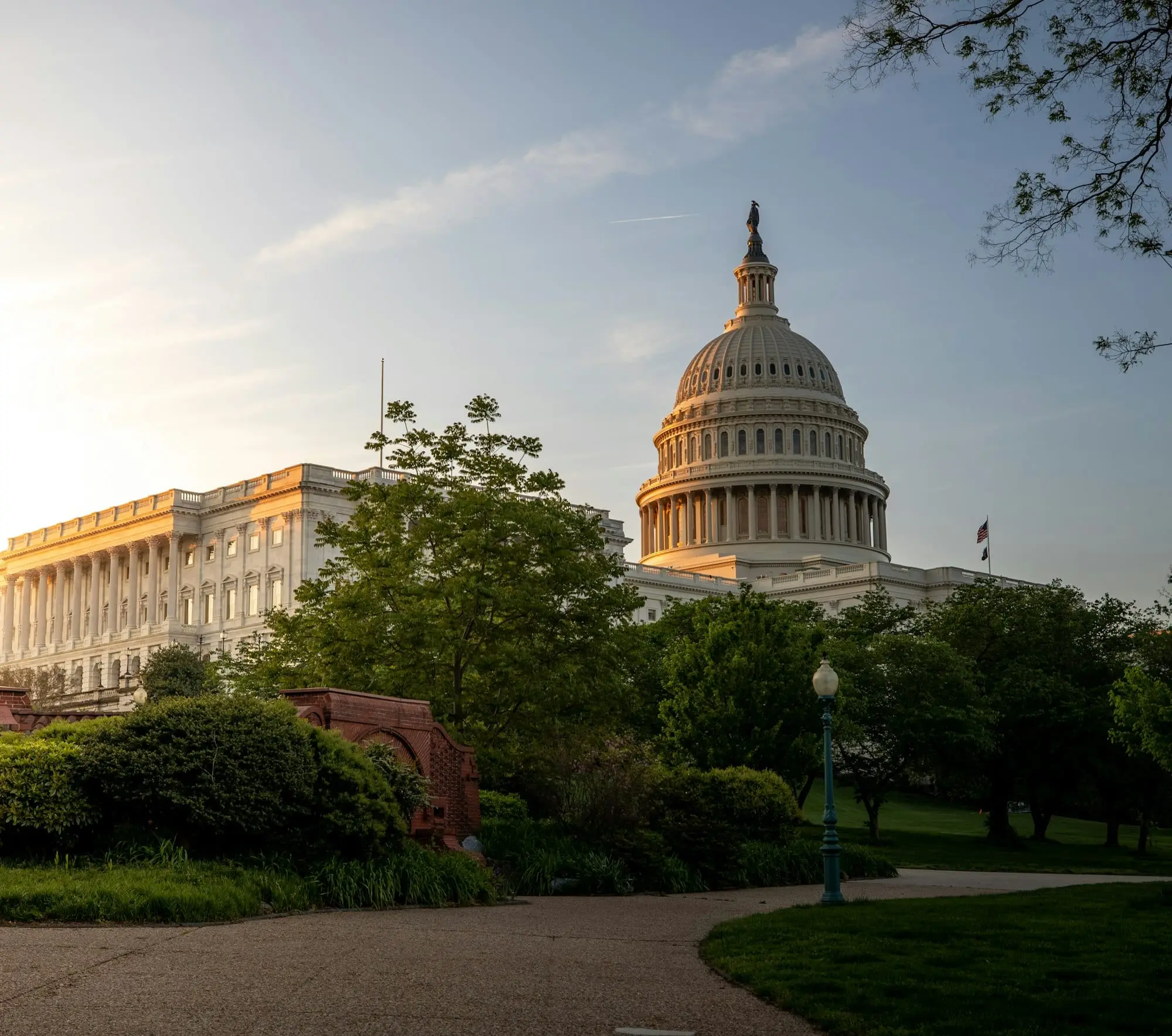 The United States Capitol building in Washington behind a row of trees